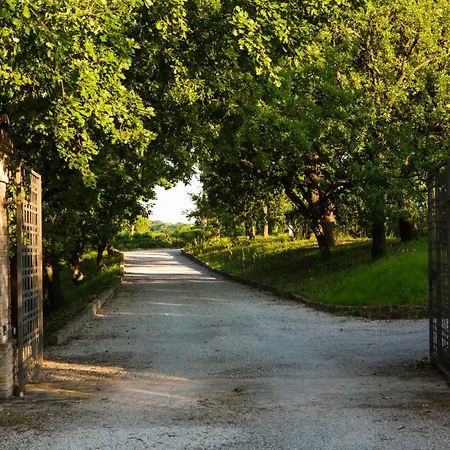 Casa Eugenia 8, Emma Villa Pesaro